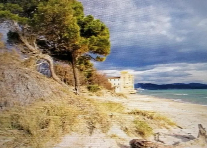 Hausemaremma 1 Camera