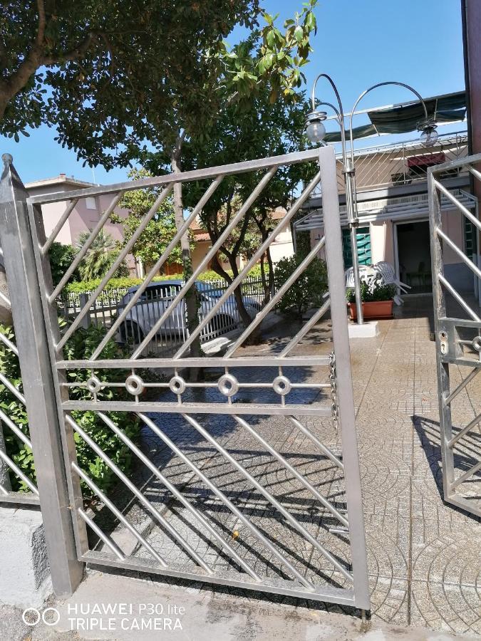 Hausemaremma 1 *